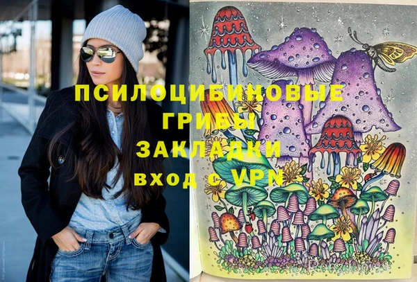 ПСИЛОЦИБИНОВЫЕ ГРИБЫ Волосово