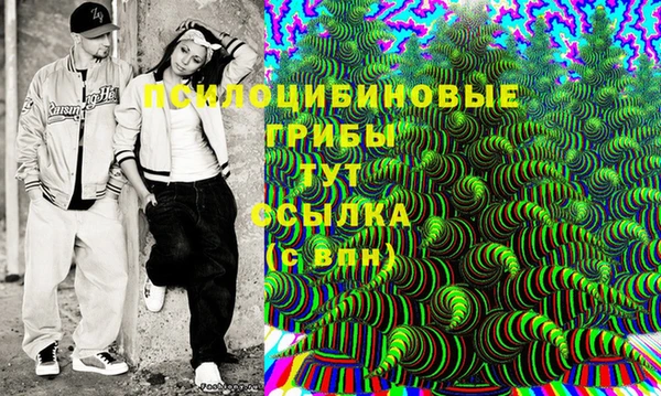спиды Волоколамск