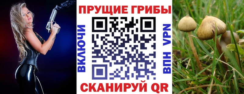 Галлюциногенные грибы мицелий  где продают наркотики  Лысково 